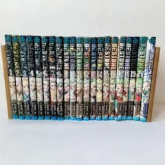 Dr.STONE ドクターストーン 1〜22巻セット - メルカリ