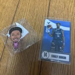 スタンリー・ジョンソン 長崎ヴェルカ