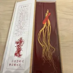 2026年最新】中国山参人参の人気アイテム - メルカリ