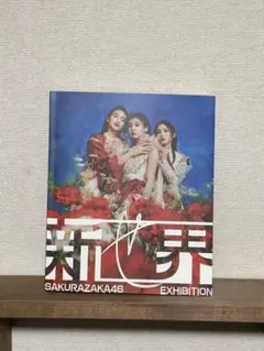 櫻坂46 「BAN」 B2告知ポスター 櫻坂46◇BAN◇3rdシングル◇告知ポスター◇B2サイズ◇大型の通販