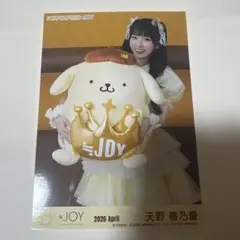 ニアジョイ ポムポムプリン 市原愛弓 - メルカリ