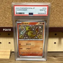 PSA10 파이리 S sv4a 210/190
