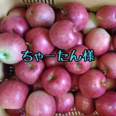 ちゃーたん様　専用　【シナノスイート小玉　小傷あり5キロ】