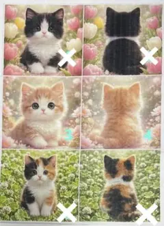 パネル生地 猫柄 ♡子猫ちゃんのひみつの花園♡ 先着5枚 6/13 - メルカリ