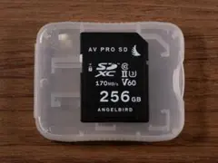 ANGELBIRD AV PRO SD 256GB V60