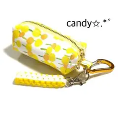 ゴルフボールケース ミニティーホルダー付き✩.*petit flower(YL)のサムネイル