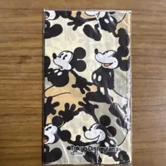 東京ディズニーランド ミッキー タオル