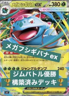 メガフシギバナデッキ 1/29シティリーグ優勝 構築済デッキ - メルカリ