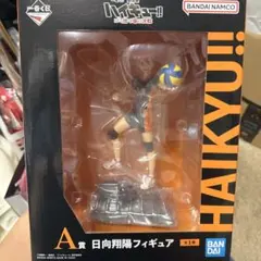 ハイキュー!! 一番くじ ゴミ捨て場の決戦 日向翔陽 フィギュア A賞