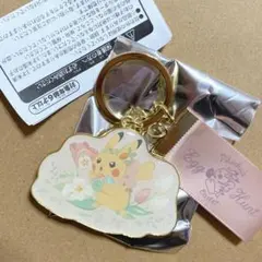 メタルキーリングコレクション イースター ピカチュウのサムネイル