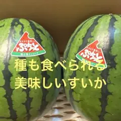 141 〜間もなく終了〜お中元に父の日に大好評♪茨城産のすいか