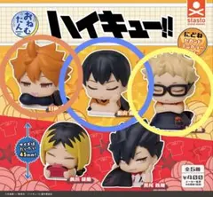 ハイキュー‼︎ おねむたん にどね 烏野1年