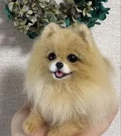 2026年最新】羊毛フェルト ポメラニアンの人気アイテム - メルカリ