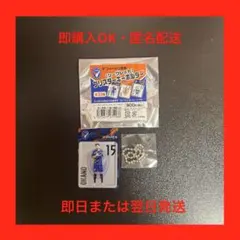 Vファーレン長崎　【シークレット】ブリスターキーホルダー　岡野洵