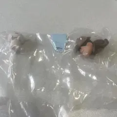 クレヨンしんちゃん　シロ　しんちゃん