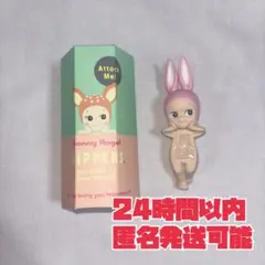 HIPPERS Sonny Angel Rabbit