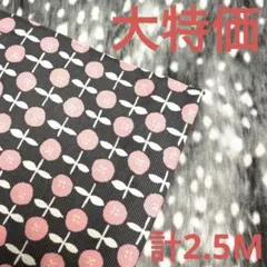 大特価❤️生地いろいろ　計2.5M あったか系　No.26