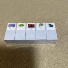 [미개봉] 우사기야 빗추 염료 잉크 5색 세트