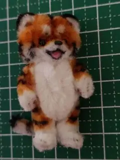 モールドール　トラ
