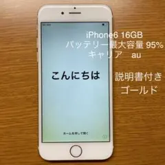 iPhone6 ゴールド 16GB 本体　（説明書付き）