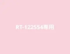 RT-122554専用