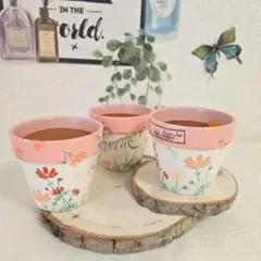 陶器植木鉢3個セット　コスモス