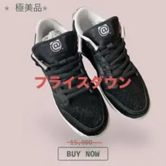 【極美品】 Nike SBスニーカー好き必見24.5㎝