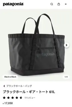 パタゴニア ブラックホール