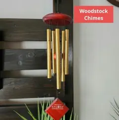 Item thumbnail for item 1aed09fa-3719-4b78-8b2a-7079f8e311cb