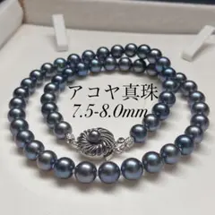 アコヤ真珠✨ネックレスピアスセット✨8.0-8.4mm✨ブルーグリーン 