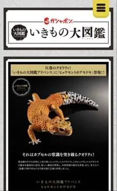 ヒョウモントカゲモドキ フィギュア ブリザード