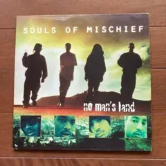 Tweet / Southern hummingbird レコード 2枚組 | Mercari