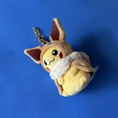 ポケモン ピカチュウ モクロー ポンチョ ぬいぐるみ キーホルダー