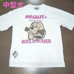 ガルフィーGALFY 病みに染まりしTシャツ中型犬Lサイズホワイト - メルカリ