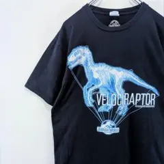 US古着 ジュラシックワールド ムービーTシャツ 映画 恐竜 黒 M