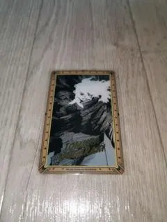 死柄木弔　箔押しクリアカードコレクション　僕のヒーローアカデミア　原画展