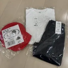 Item thumbnail for item 2776ebe1-3fca-4db3-8fb0-744246553fe2