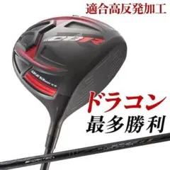 新品】ワークスゴルフ CBR BLACKⅡ SLEルール適合モデル低ロフトも有