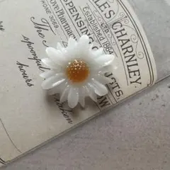 Item thumbnail for item f01092e1-5b42-4789-8ad4-5a432c7ac8bc