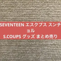 SEVENTEEN エスクプス スンチョル S.COUPS グッズ まとめ売り