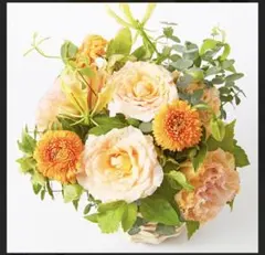 ★おめ様専用★