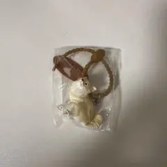 ふんばりーぬ　チワワ　クリーム