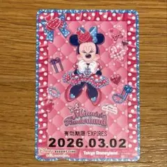 ディズニーリゾートライン　フリーパス　ミニー　パルパルーザ