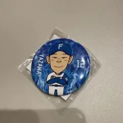北海道日本ハムファイターズ 矢澤宏太 缶バッジ
