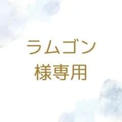 【ラムゴン様専用】シール帳　透明 イエロー、ピンク、グリーン ３０枚