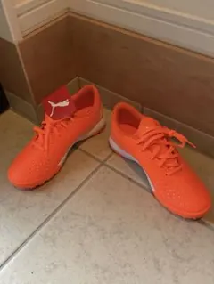 Item thumbnail for item adbedabc-588f-4b2c-ab84-259db33c0a6d