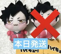 ハイキュー！！ちょぴぬいぷち黒尾鉄朗