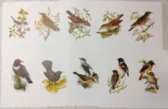 Item thumbnail for item 425b4309-e2ab-4682-b941-def67d1e526d