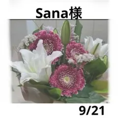Sana様　9月おまとめページ