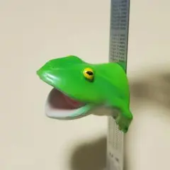 リアルなカエルマグネット